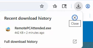 Chrome Download Expanded